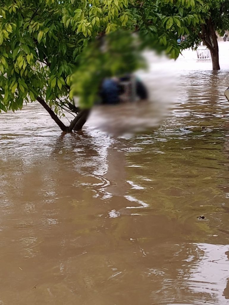 WhatsApp Image 2023 06 16 at 11.46.13