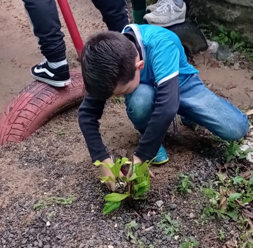 WhatsApp Image 2023 06 22 at 18 05 05