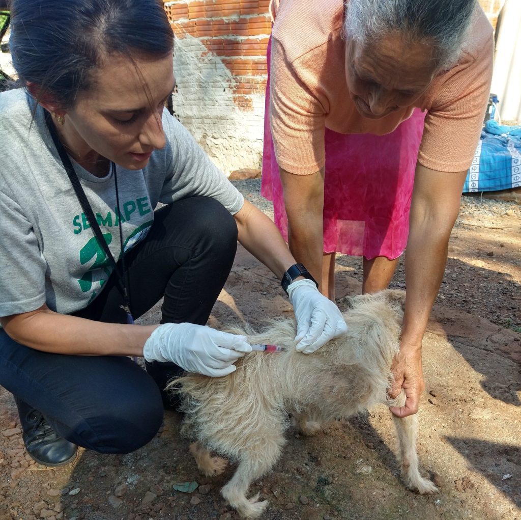 WhatsApp Image 2023 07 12 at 16.15.43