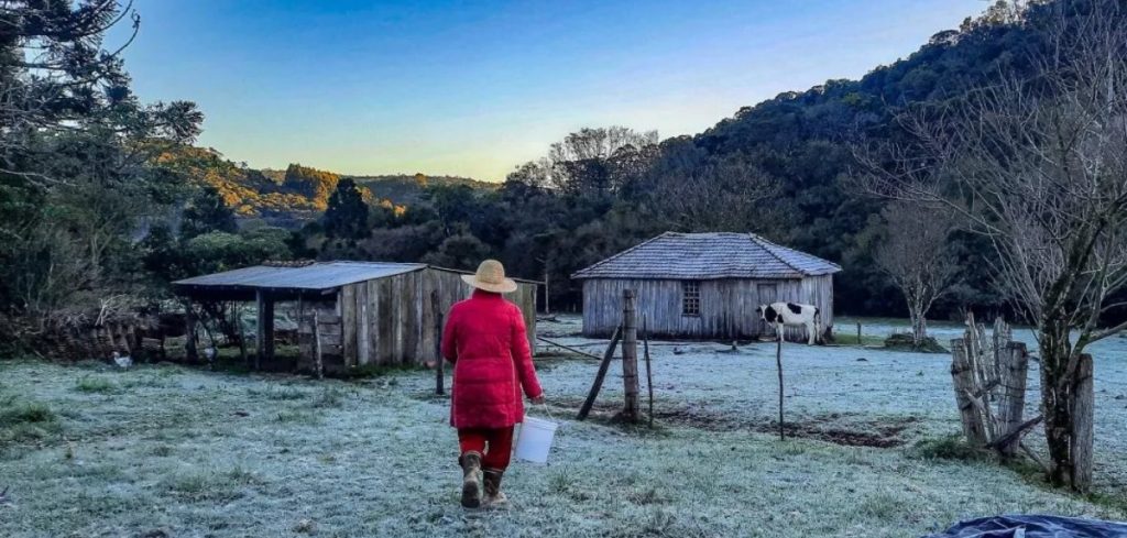 cf287727 3356 4e28 8c3b 27d48f9810fe