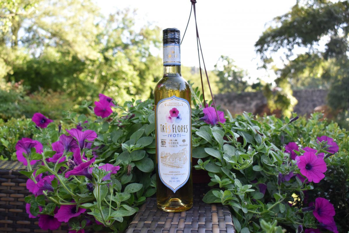 conheca a cachaca tres flores ivoti produzida com bebida das tres cachacarias ivotienses