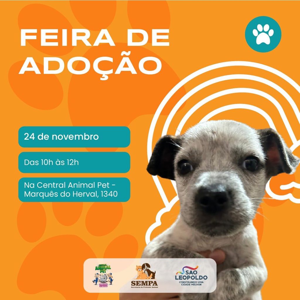 Filhotes disponíveis para adoção em espaço da Sempa 403797502 17979980909548224 5215101264685450569 n