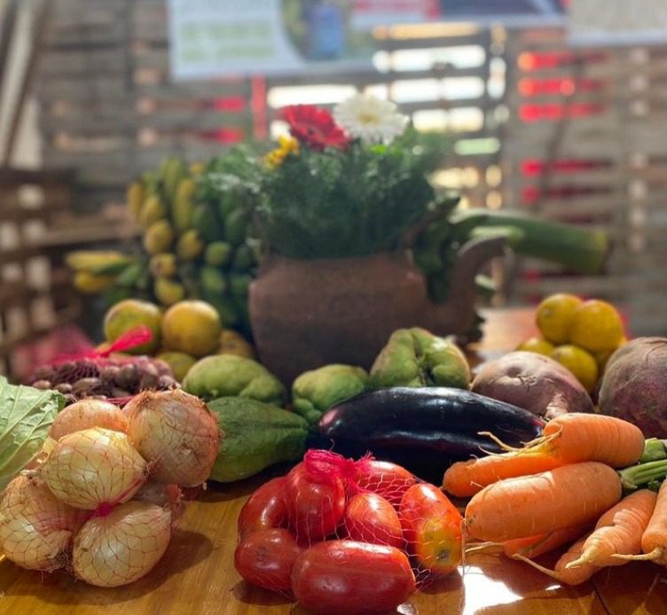 Terça tem feira do produtor em Morro Reuter WhatsApp Image 2023 11 13 at 13.39.10