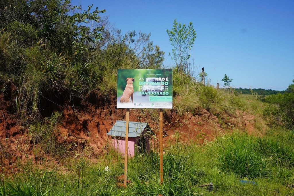 Campanha Dezembro Verde conscientiza para o não abandono de animais DSC01806 1