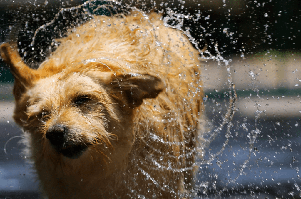 Até quando vai o calorão? Metsul