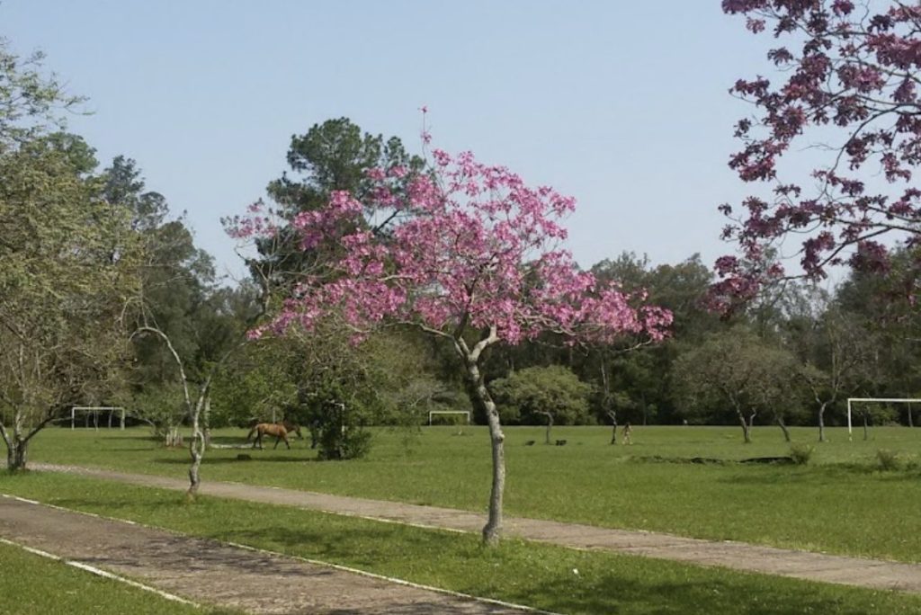 Prefeitura cederá área por 15 anos, e Aimoré construirá CT no Parque do Trabalhador Parque do Trabalhador