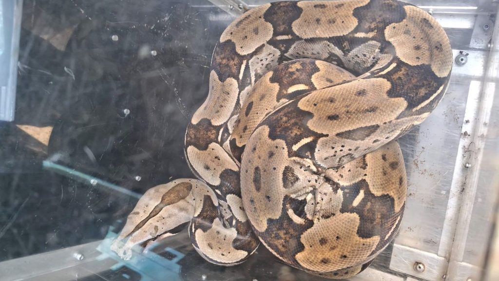 WhatsApp Image 2024 01 04 at 13.06.44