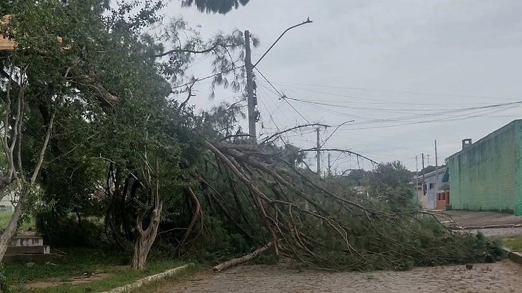 Temporais e calor marcam o início de semana no RS WhatsApp Image 2024 01 08 at 13.59.41
