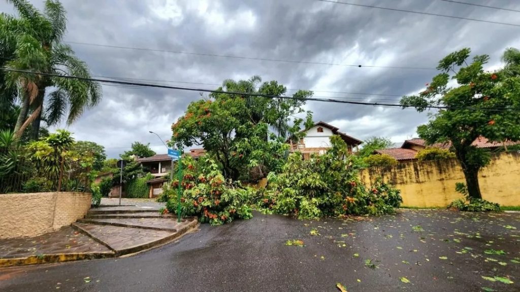 Sol, calor, chuva e tempestades: veja a previsão para cada dia da semana WhatsApp Image 2024 01 15 at 10.54.50