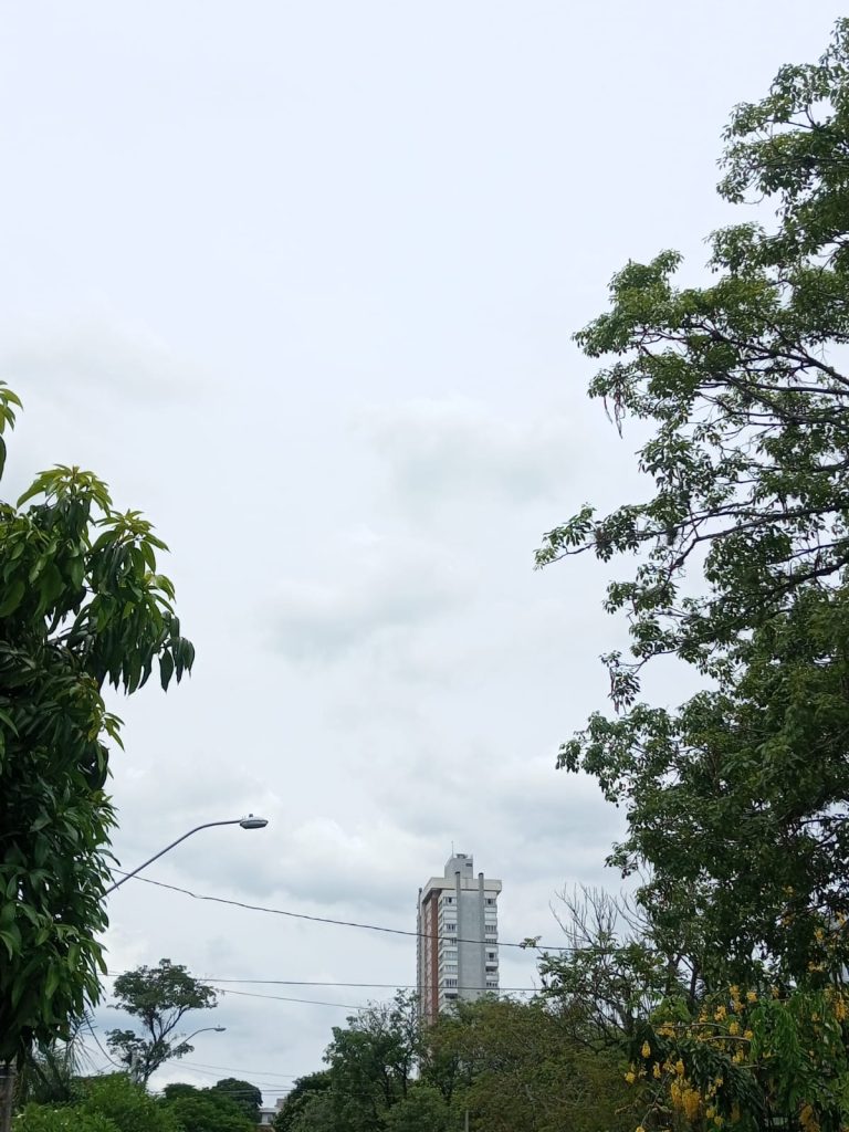 WhatsApp Image 2024 01 16 at 12.53.50