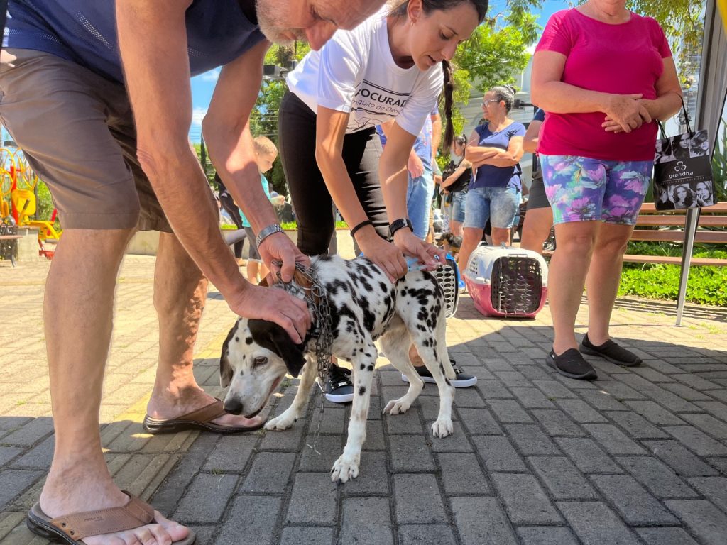 WhatsApp Image 2024 01 22 at 15.43.06