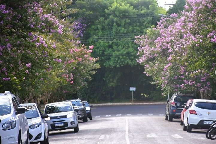 Verão Florescente transforma as ruas da cidade WhatsApp Image 2024 01 31 at 14.37.03