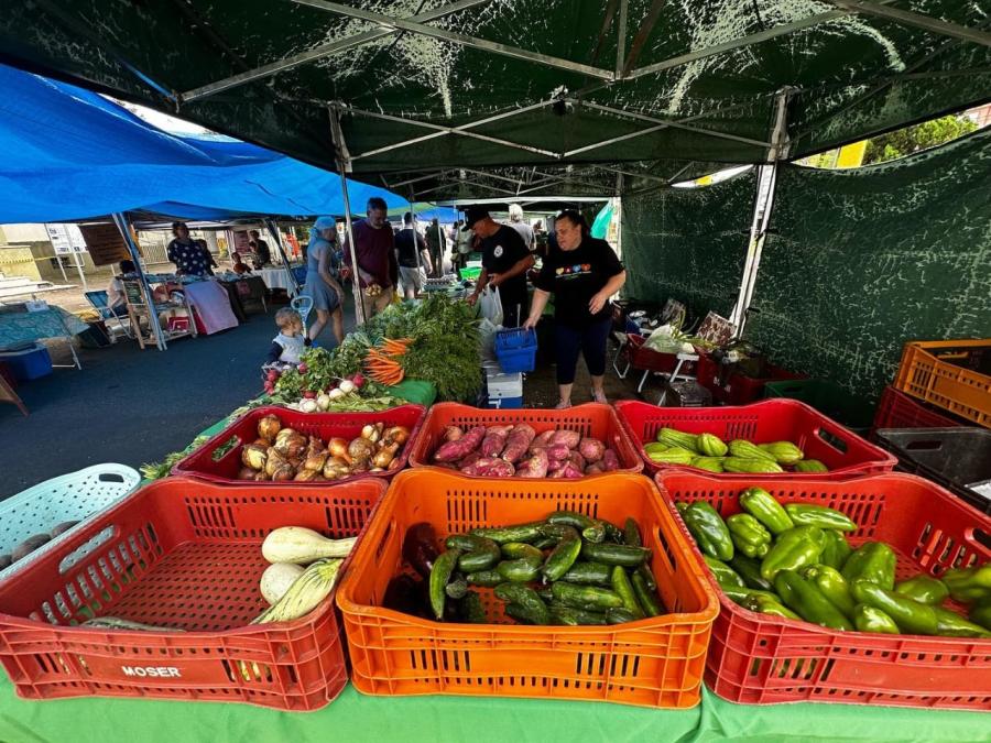 Feira do Alimento Saudável retorna neste sábado feiraecologica1704914412952 foto