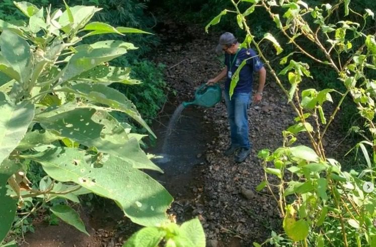 Combate ao mosquito borrachudo WhatsApp Image 2024 02 09 at 13.53.52