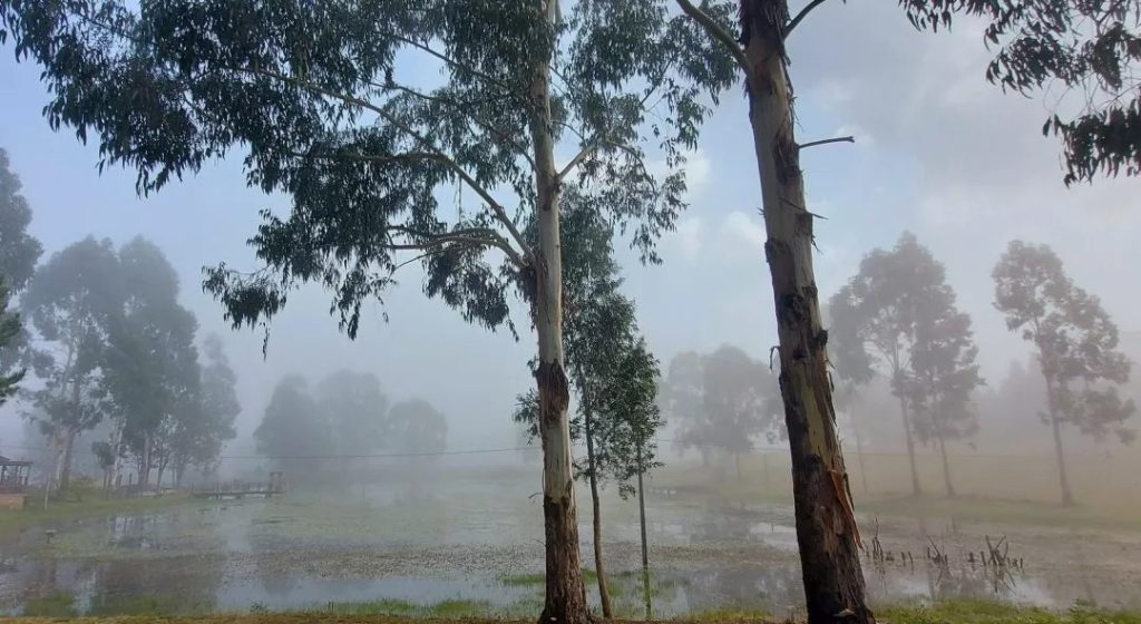 WhatsApp Image 2024 02 14 at 13.43.52