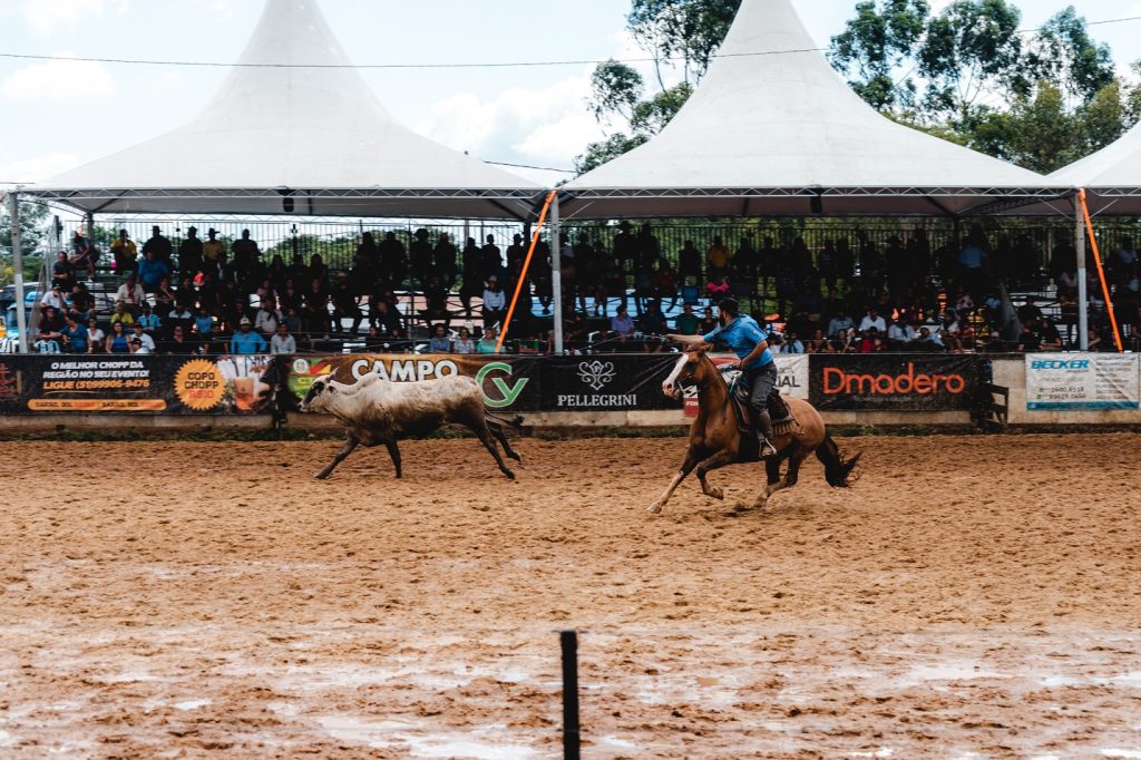 Provas campeiras começam nesta quinta-feira (07) e campeões serão conhecidos no domingo (10), no Parque do Trabalhador; prêmios somam mais de R$ 200 mil, maior valor da história do rodeio (Foto: Lucas Unser/PMCB)