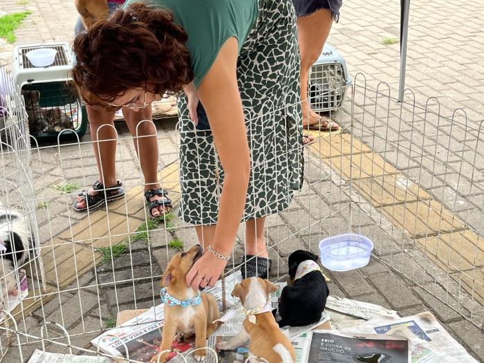 Feira de Adoção continua unindo famílias e pets em Estância Velha 1 Foram realizadas mais de 100 adocoes responsaveis de animais em 2024Foram realizadas mais de 100 adocoes responsaveis de animais em 2024