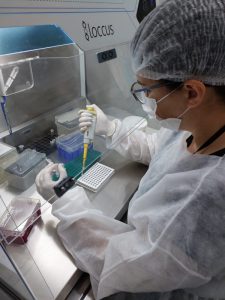 RS enfrenta doenças em meio à catástrofe climática 1 Lacen RS exames para diagnósticar Leptospirose