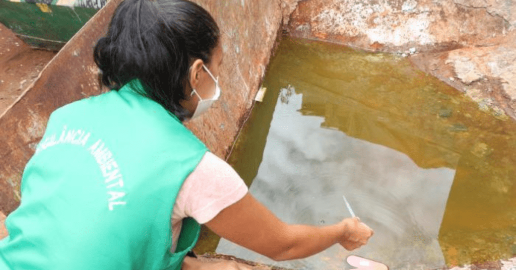 Estância Velha confirma primeira morte por dengue em 2024 mosquito dengue vigilância Estância Velha RS foto PMEV 1
