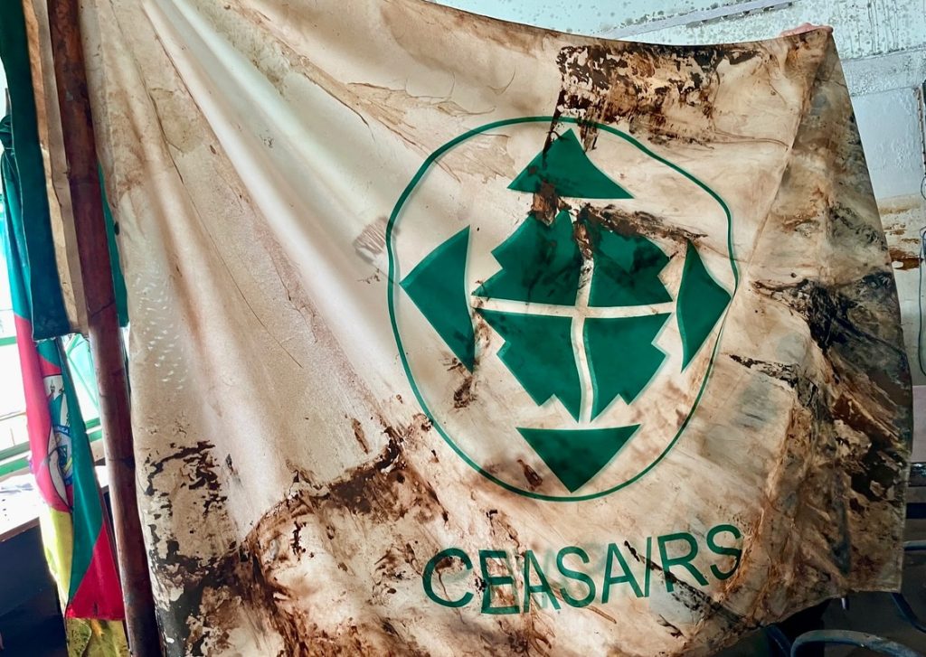 Ceasa reabre o GNP após 60 dias Ceasa RS após enchentes de 2024