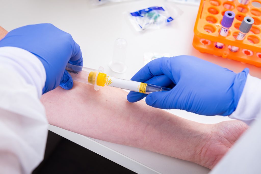 Dia Nacional da Saúde: a importância da prevenção e tratamento de doenças Foto: Divulgação/Priscilla Fiedler