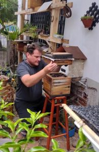 Preservar e reintroduzir abelhas nativas é missão pela vida 2 abelhas-sem-ferrão - 01