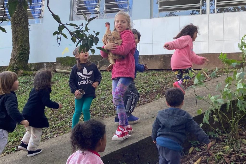 Emei Dom Pedro I - de Campo Bom - projeto escolar com galinhas