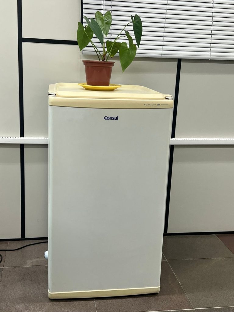 WhatsApp Image 2024 12 02 at 17.58.40