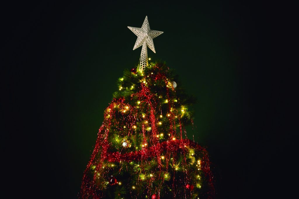 Rodrigo Giacomet: Que o Natal nos faça melhores… beautiful christmas tree with copy space