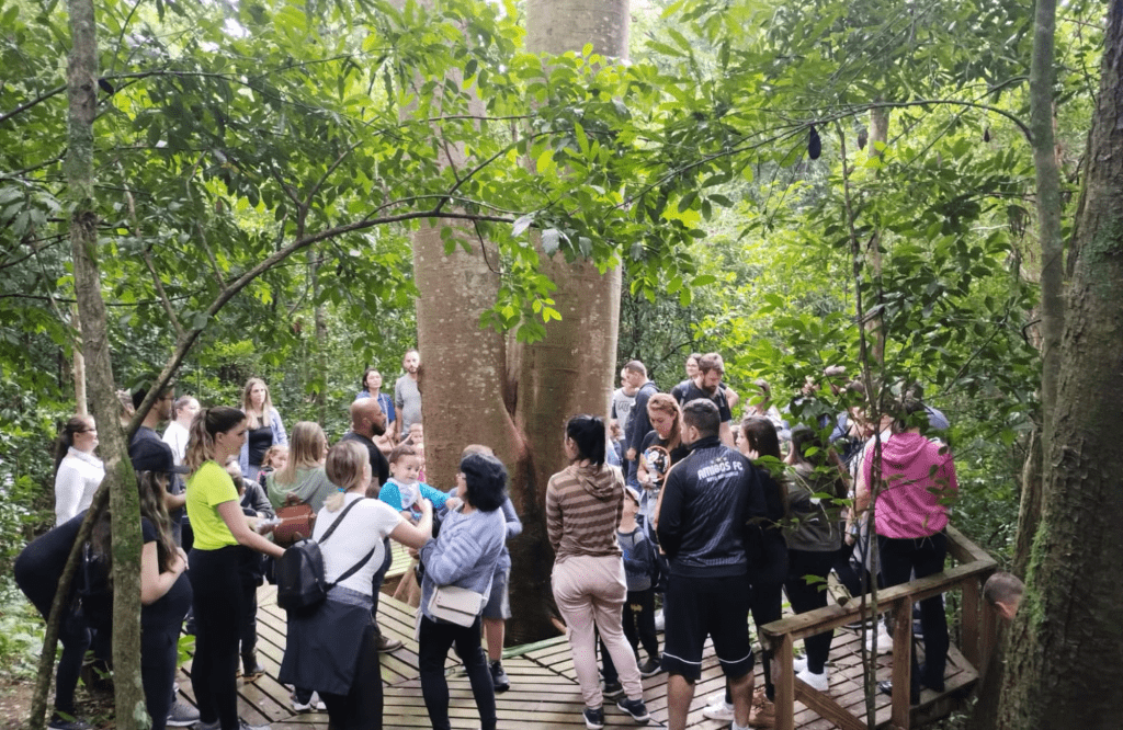 Reserva Ecológica Leopoldo Alberto Baeckel é reinaugurada com trilhas e educação ambiental imagem 2025 02 24 180311765