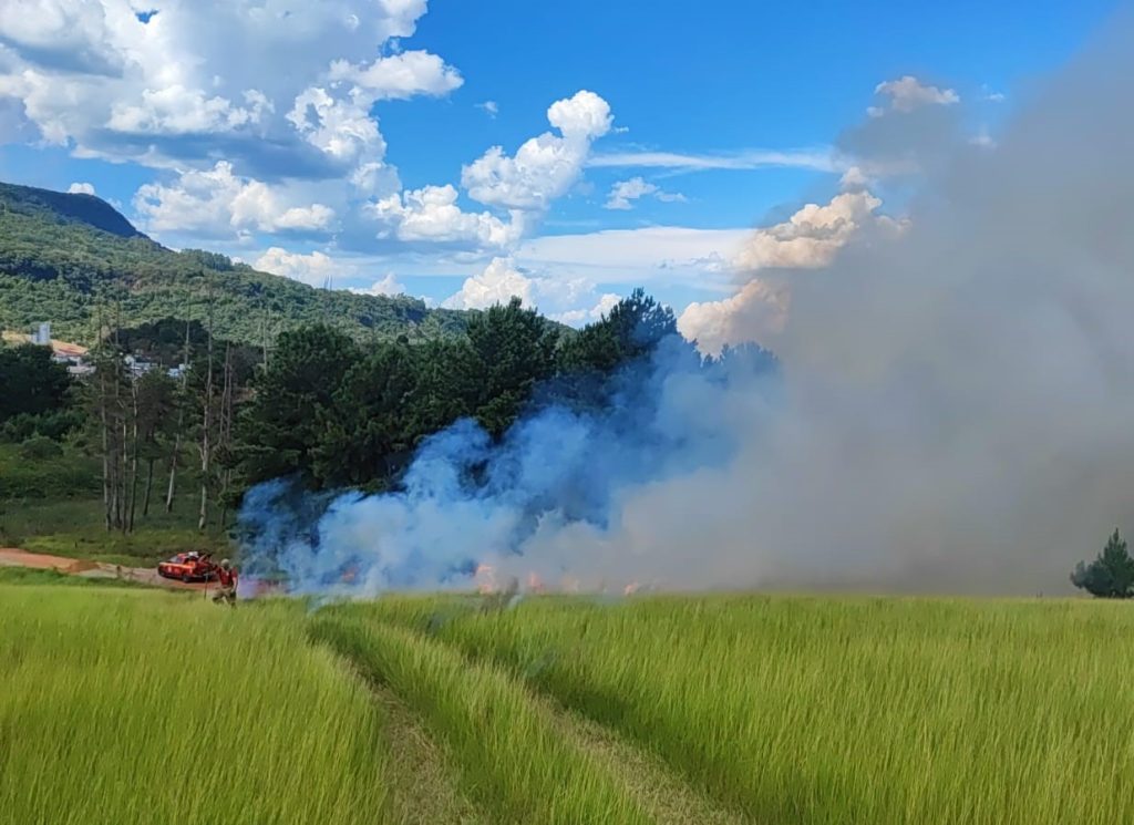 Incêndio no bairro Horizonte levanta suspeita de crime ambiental incendio
