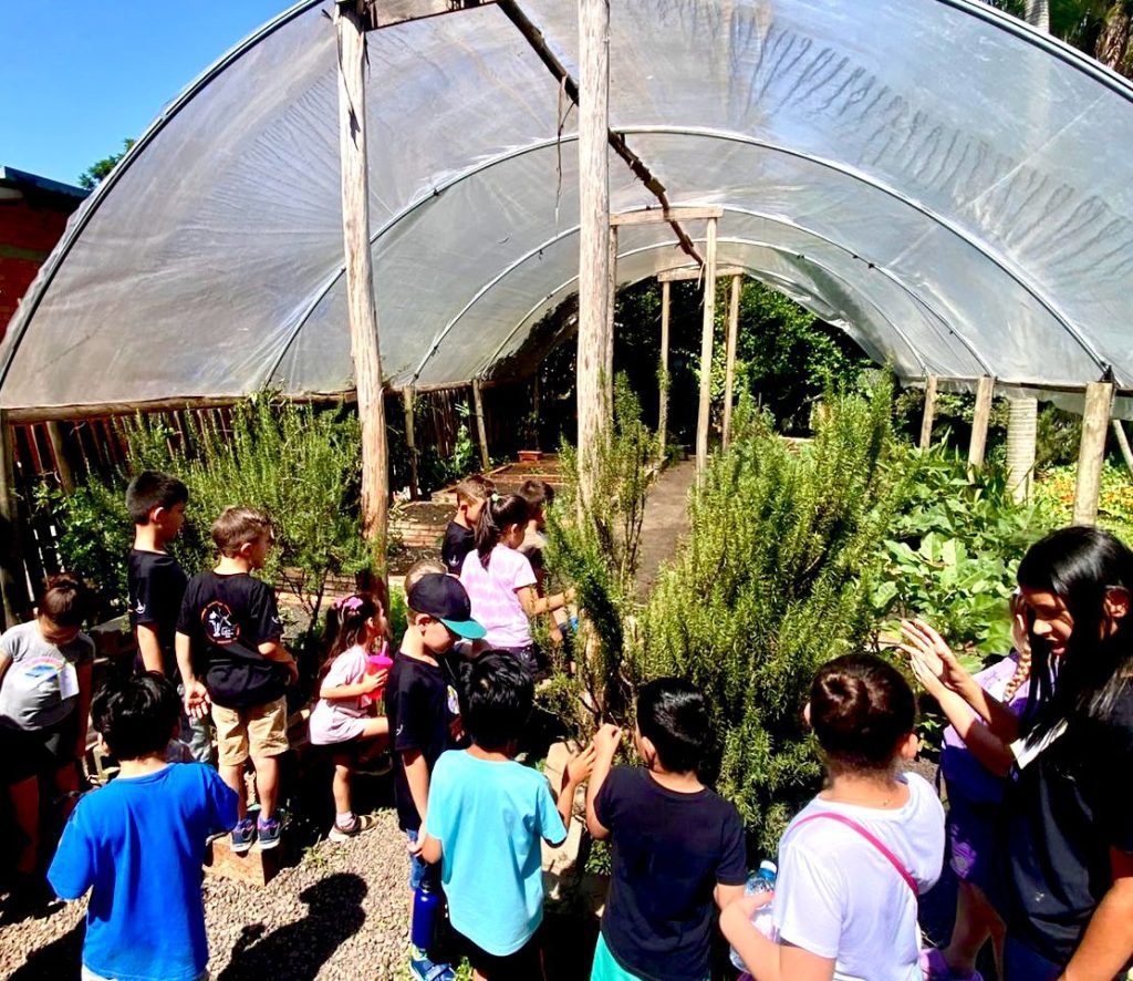 Virando a Terra aposta na educacao ambiental