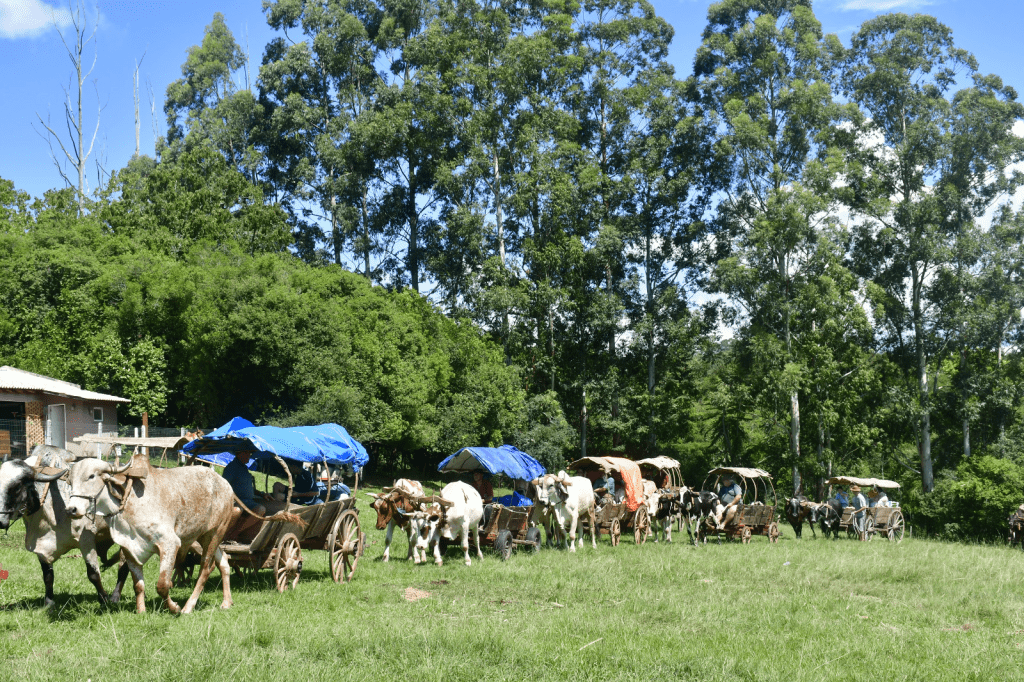 imagem 2025 03 10 170334923