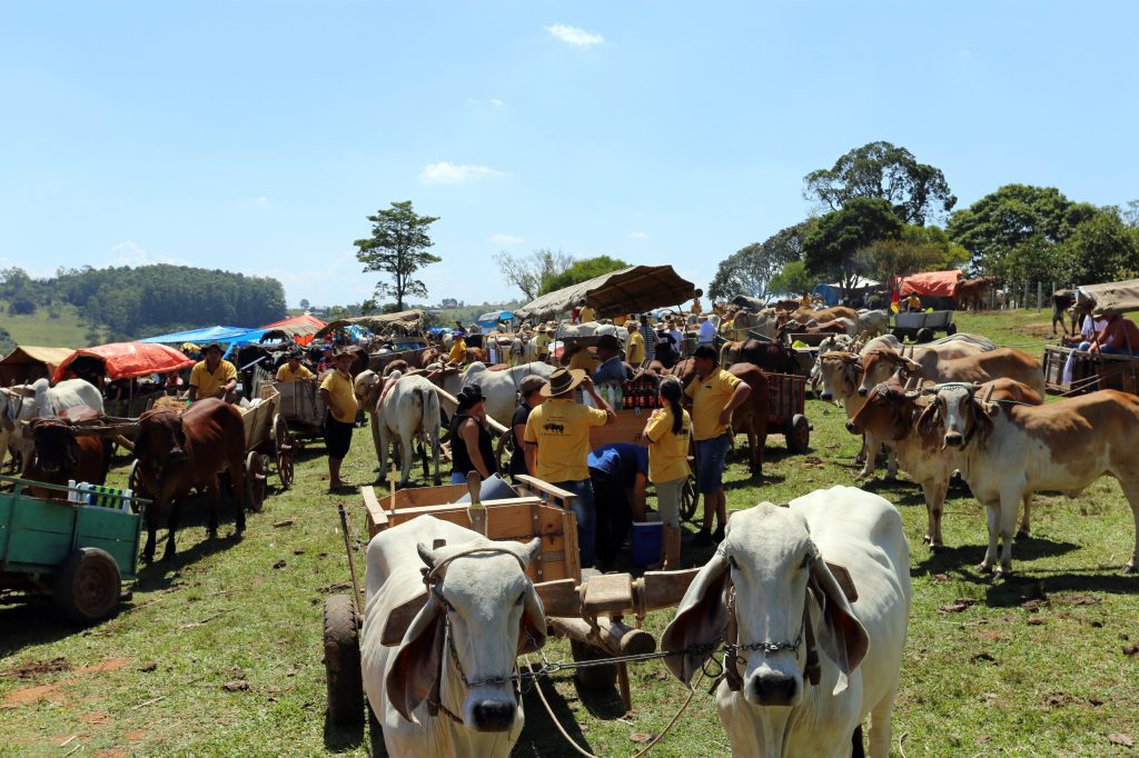 Novo Hamburgo celebra 98 anos com carreteada e programação cultural WhatsApp Image 2025 04 01 at 13.40.36