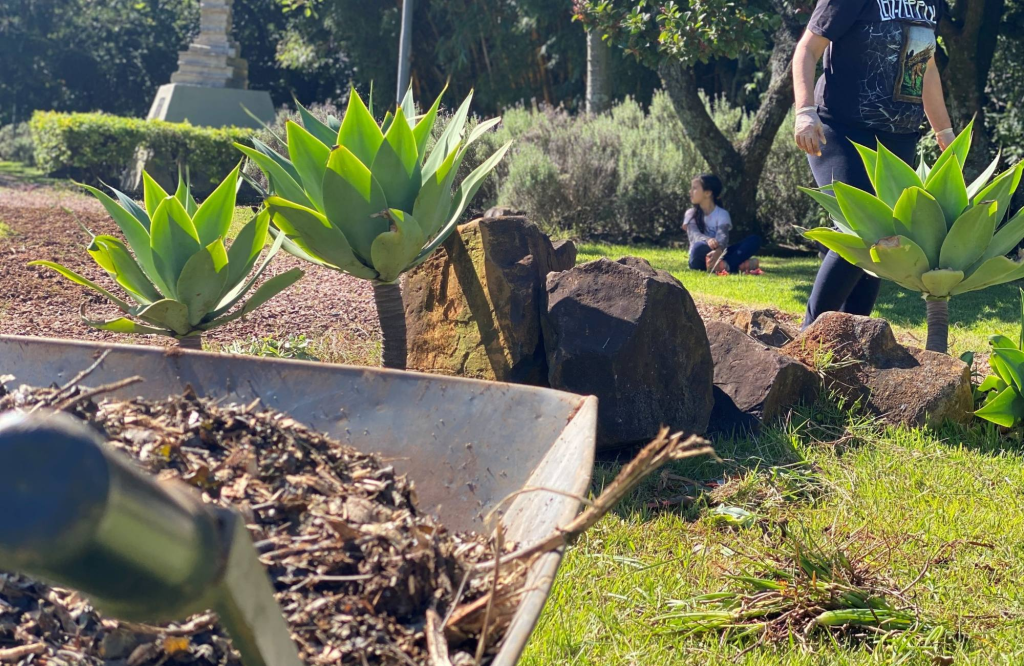 Mutirão de jardinagem busca revitalizar Rua Independência imagem 2025 04 02 184051265