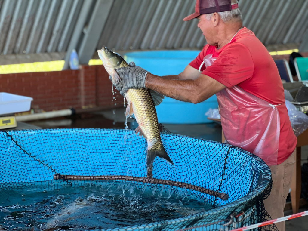 imagem 2025 04 09 185435436