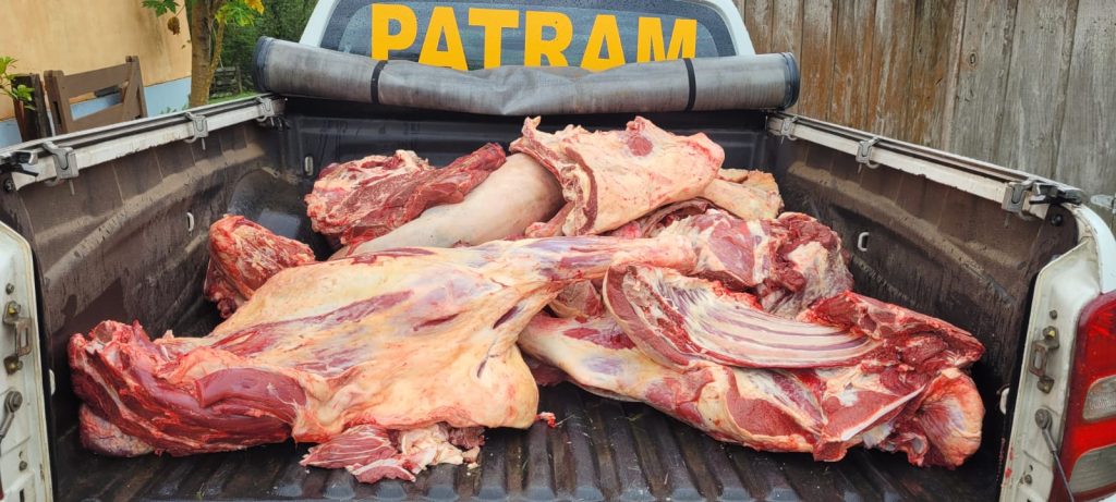 Carne sem procedencia