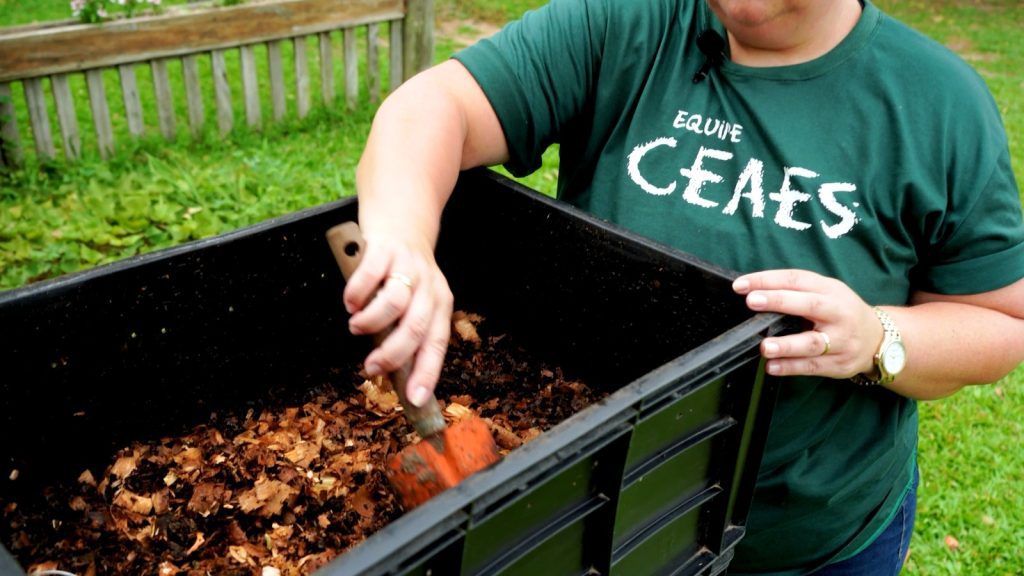 Cinema e trilhas marcam a Semana do Meio Ambiente de Novo Hamburgo d4952d62 93a2 42d1 a4e9 7bfd5b069bdb