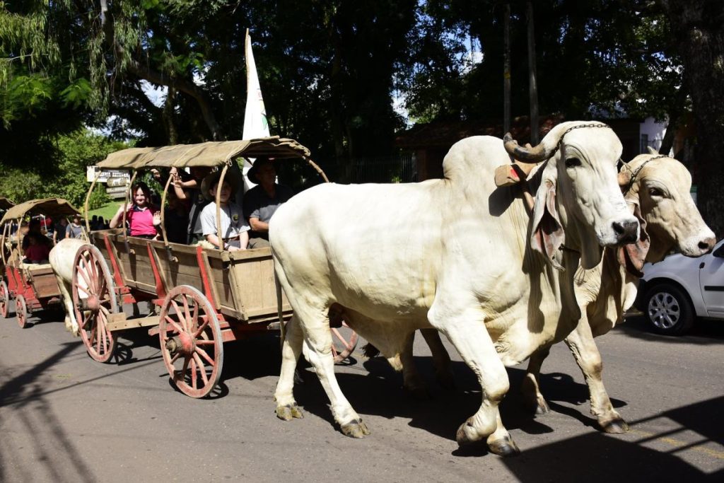 Organizacao da festa do colono 2025 entra em fase final e programacao e divulgada