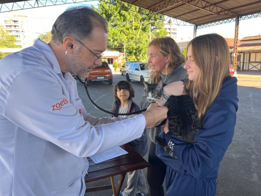 Esporotricose em gatos: Prefeitura disponibiliza remédios para tratamento A Prefeitura de Estância Velha iniciou a distribuição de medicamentos para tratar casos de esporotricose em gatos. O objetivo é facilitar o acesso ao tratamento e reduzir o risco de transmissão da doença. Foto: Arquivo/PMEV