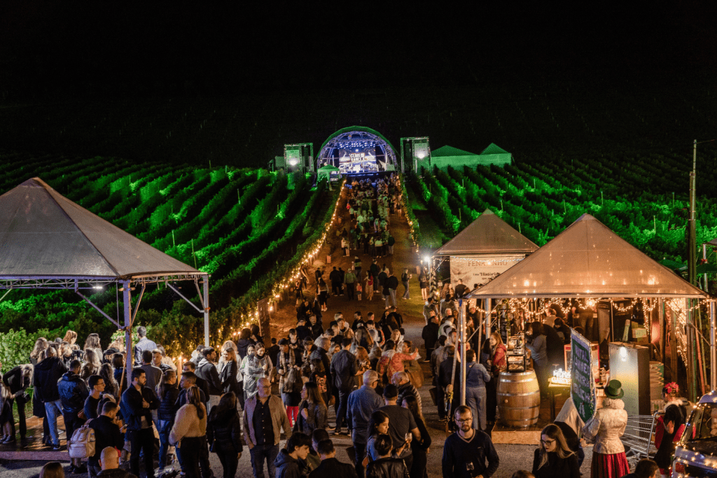 Natal nos Vinhedos reúne shows nacionais e espetáculos artísticos temáticos a partir de novembro Natal nos Vinhedos será realizado no dias 28 e 29 de novembro e 5, 6, 12 e 13 de dezembro, a partir das 18h. Crédito Zéto Telöken