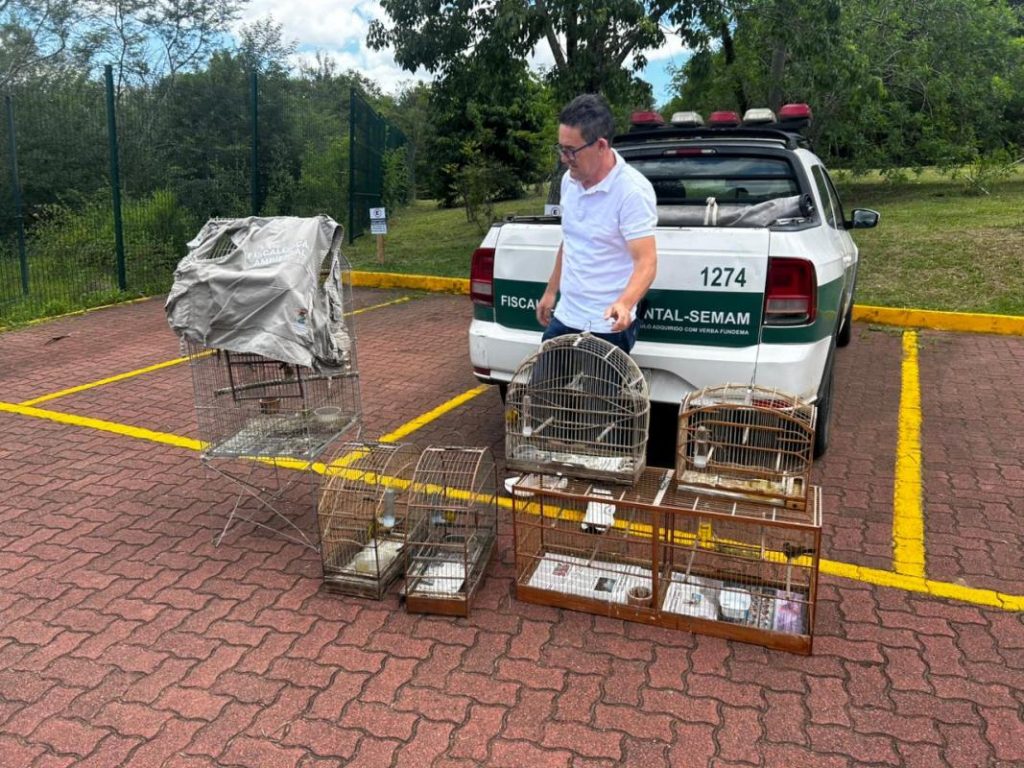 Ação da DPA resultou no resgate de aves mantidas em cativeiro irregular, que depois receberam cuidados e foram devolvidas à natureza. Foto: Divulgação/DPA