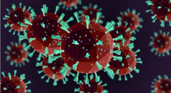 Risco de chegada do vírus Nipah ao Brasil é considerado muito baixo, aponta Rede Vírus O vírus Nipah é monitorado por autoridades de saúde, e os dados atuais indicam que não há transmissão sustentada no país. Foto: True Creatives