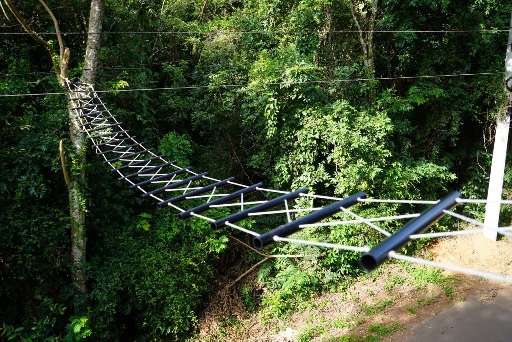 Prefeitura de Campo Bom instala passarelas para proteger bugios no bairro Quatro Colônias Passarelas aéreas foram instaladas em pontos estratégicos para garantir a travessia segura dos bugios entre áreas de mata, reduzindo o risco de acidentes com a rede elétrica. Foto: Divulgação
