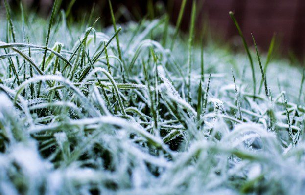 Frio ganha força no RS com nova massa de ar polar nos próximos dias Massa de ar polar mantém o frio intenso e pode provocar geada em áreas do Rio Grande do Sul. Foto: Thomas Faull/Getty Images