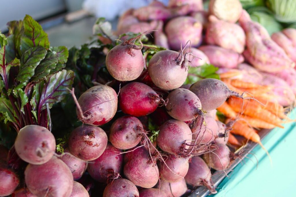 Agricultura familiar deve receber mais de R$ 1 milhão com alimentação escolar em Novo Hamburgo Hortifrutigranjeiros da agricultura familiar são colhidos e entregues às escolas, garantindo mais frescor e qualidade na alimentação dos estudantes. Foto: Weslei Fillmann/PMNH