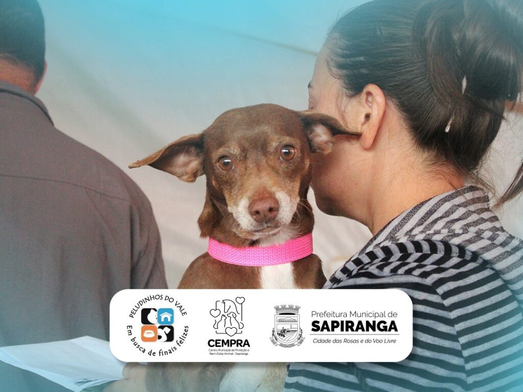 O mutirão de castração faz parte do projeto Carreta Castração, que busca promover a saúde e o bem-estar dos animais. Foto: Divulgação/Reprodução Prefeitura de Sapiranga