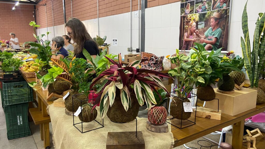 Feira Especial de Festa Julina movimenta o Pavilhão da Feira do Agricultor nesta quinta-feira Produtos agroecológicos, plantas, artesanato e gastronomia orgânica fazem parte da programação da Festa Julina. Foto: Divulgação/Prefeitura de Sapiranga
