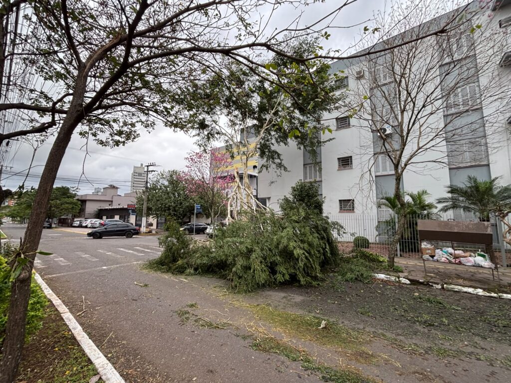 Temporal provoca queda de árvores, falta de energia e altera serviços em Novo Hamburgo Temporal provoca queda de árvores, falta de energia e altera serviços em Novo Hamburgo