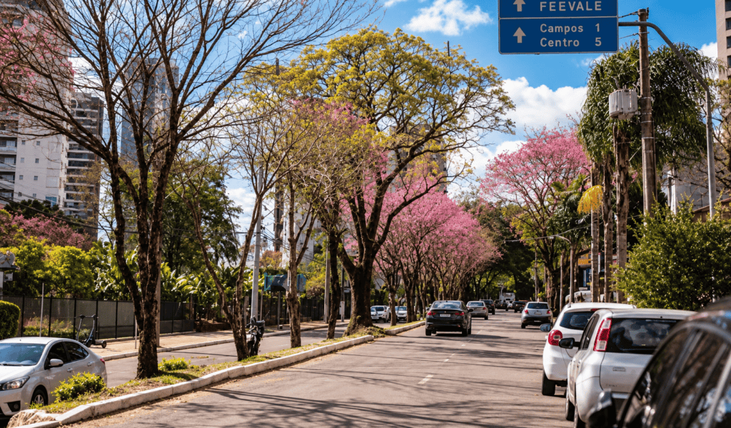 Primavera começa com frio no Vale do Sinos e temperatura sobe nos próximos dias